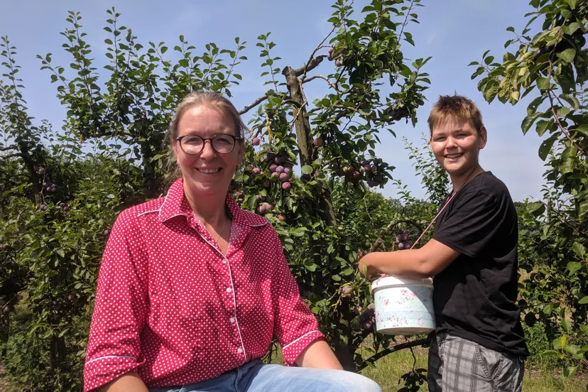 land van maas en webbink