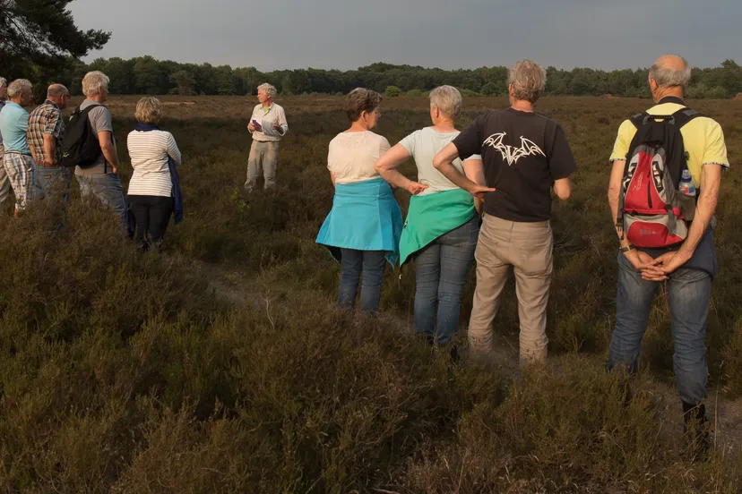 lo03313 1 excursie mander heide clifton buitink