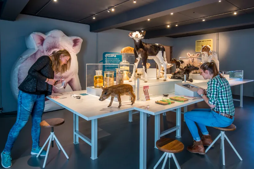 natura docet wonderryck twente