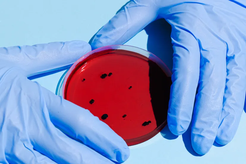 pexels anna shvets 3786217 e1602085115583