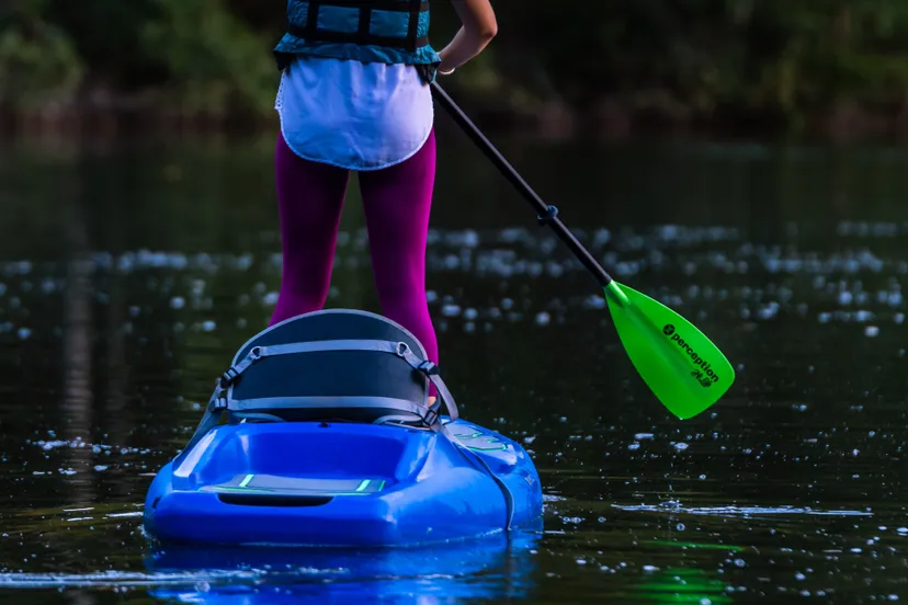 pexels carissa rogers 1504215 1