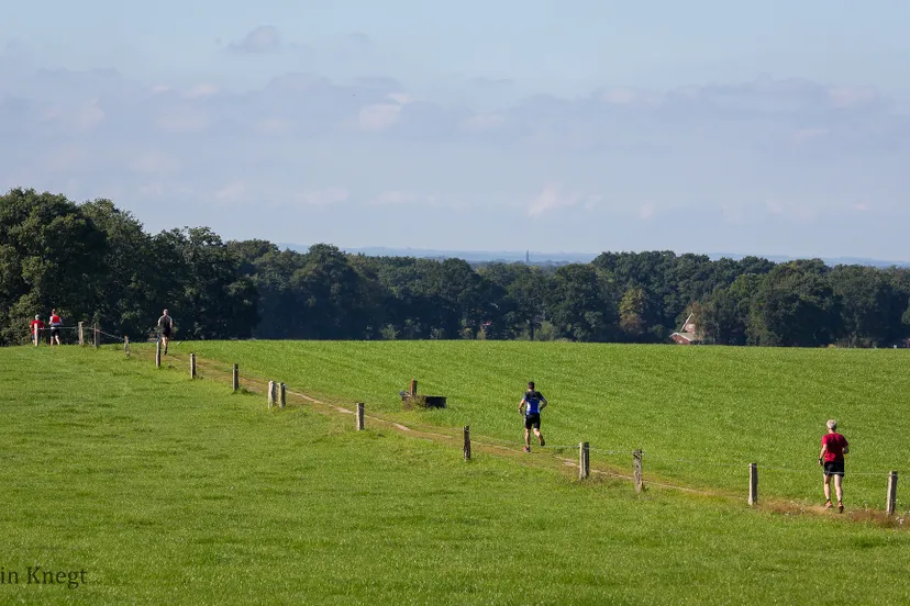 rfr springendal 2017 martinknegt 9
