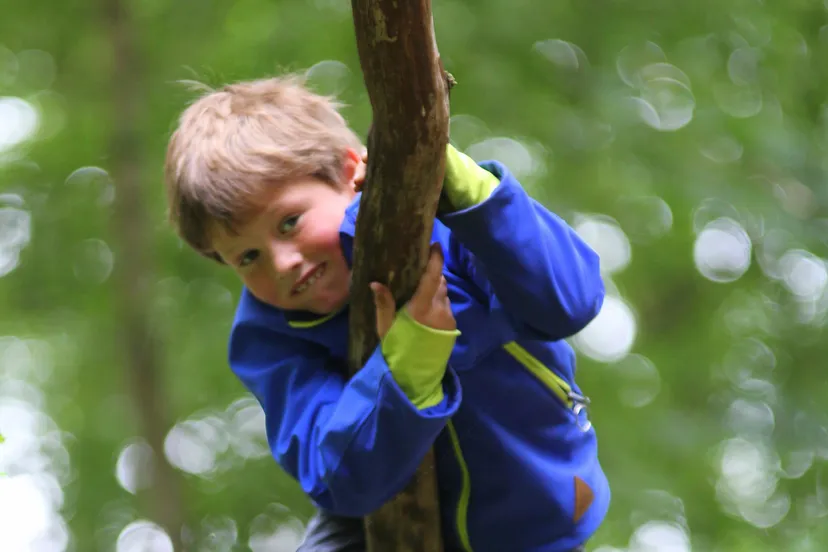spelen in boom saskia van tongeren