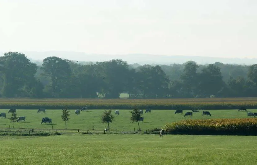 twents landschap hoeve ezelsgoor