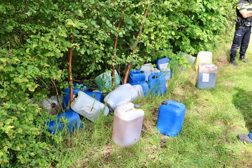 whatsapp image 2019 06 03 at 113557