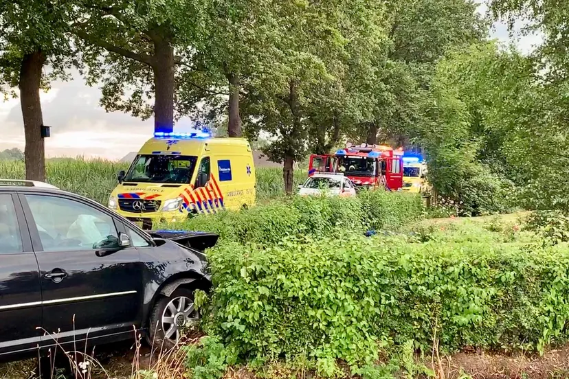 whatsapp image 2019 07 31 at 200619