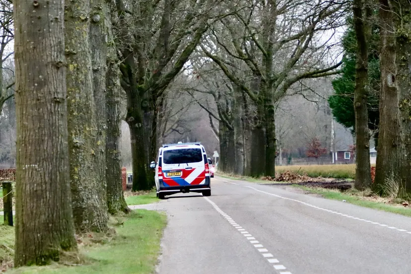 whatsapp image 2021 12 31 at 163307