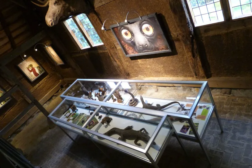 wonderryck twente in zoo nordhorn