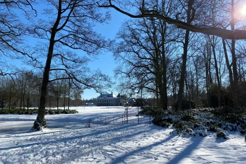 singraven in de sneeuw