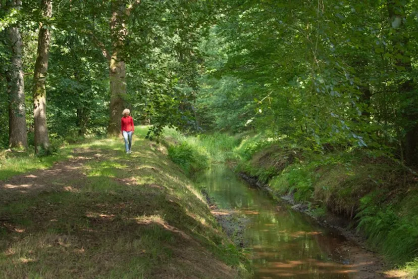 Het Oosterveld - foto Stichting Landschap Overijssel - Vladimir Dobrasinovic