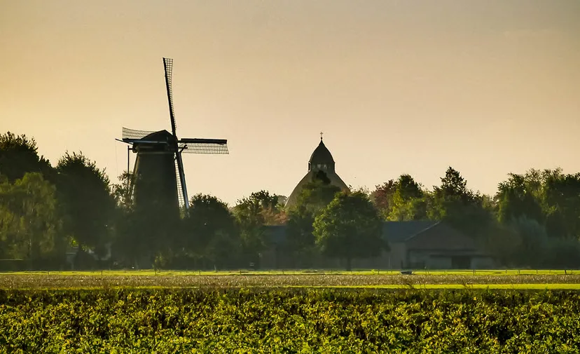 200procentdongenfoto