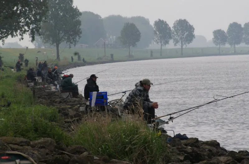 aba274sl3225dsxg5kq2kfyft ruischvoorn1