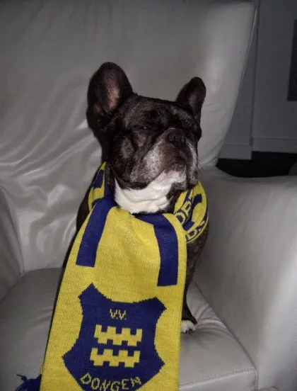 ao7mx3qtqr8nyhb1263etkzo2 15685