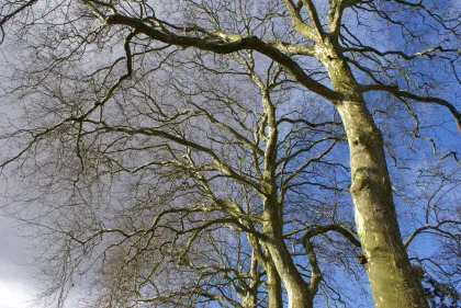 aumv0gso1l1ezrhwae6tc0uhg 9919