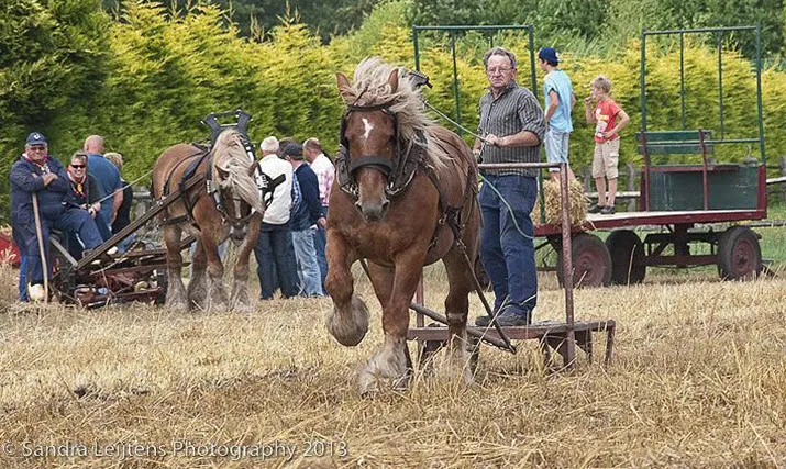boerenfair1