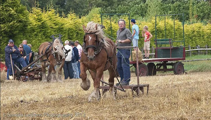 boerenfair17