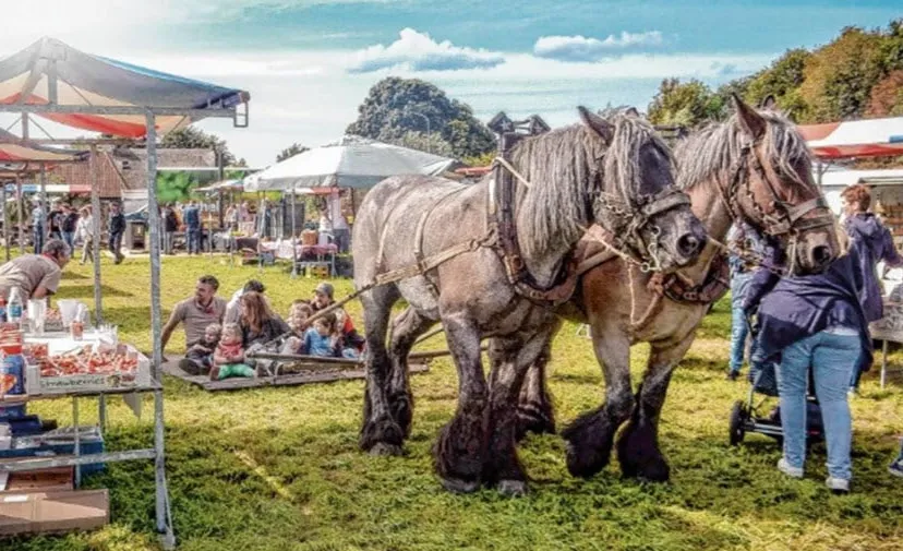 boerenfair23