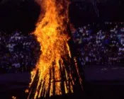 broxo8wzwqef5y8r4pirdmudk 21666