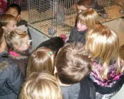 bzo76ucd58z73llngg8o45frd 182907