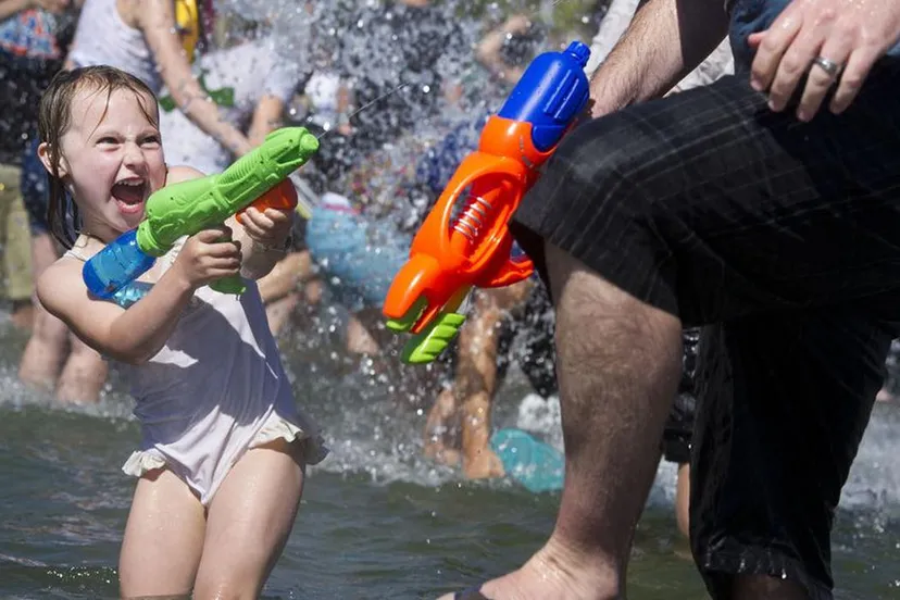 cbtj8a044ro36pckm2yuxlgzq zomer 2