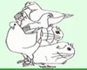 ckjft0sm6ld8l0q0h2zay0zwv 14722