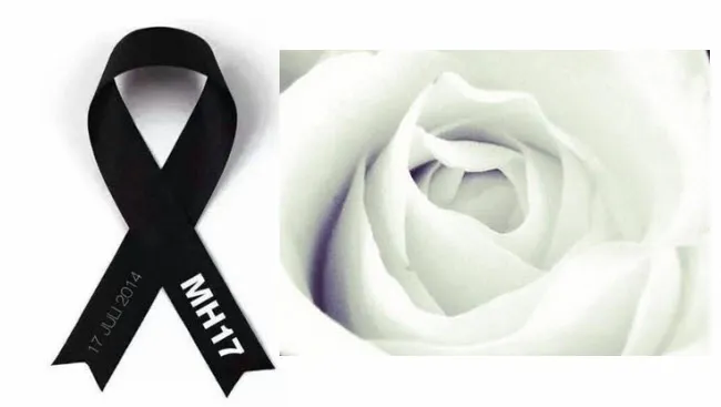 cwnkbt69bmhidpbw81adnjmoe mh17