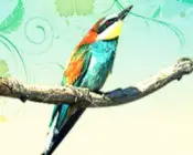 d7py7olozxutpqiuguh8bun5t 225800