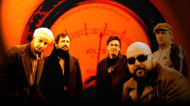 dev2tt3hxk2khwx408ib0peti belgianblues