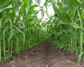 df74tkyh93gs1v6z6emke8hay 93790