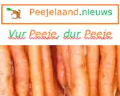 di9z9owfvy4bmzmtxt9f9as8p 27282