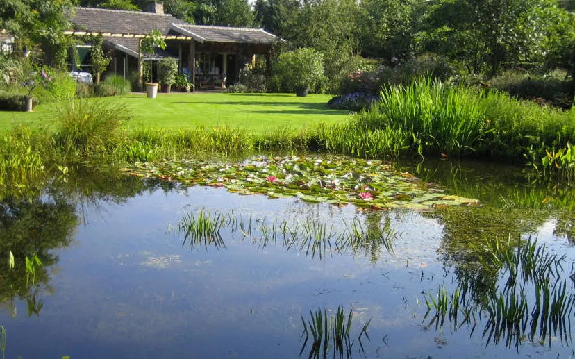 dlcoa0ymczblkpiusuhase9m1 vaartsehof 2