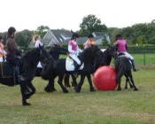 dn3qoz3gc1u91sm0a08dzbao5 25153