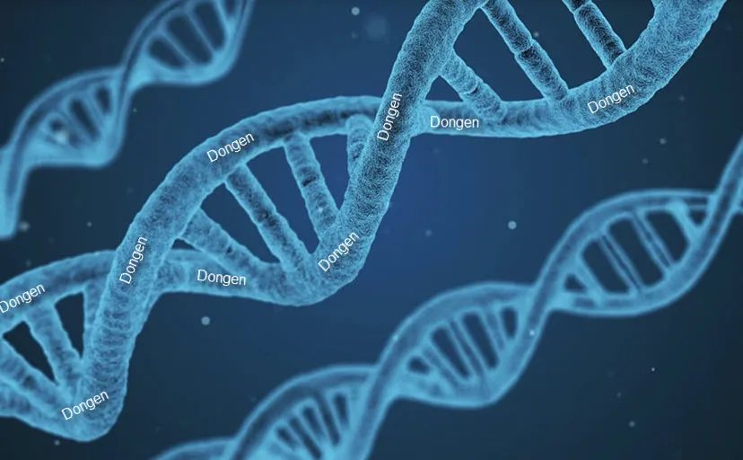 dongensdna