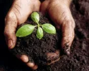 dtytshyo02yeequqc37jej4qa 221363