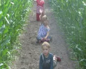 e9rilu8xqs8m9knum38le5ae9 182447