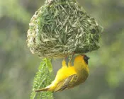 f7jaukzlbjsxvnqr3zejutb1h 219835