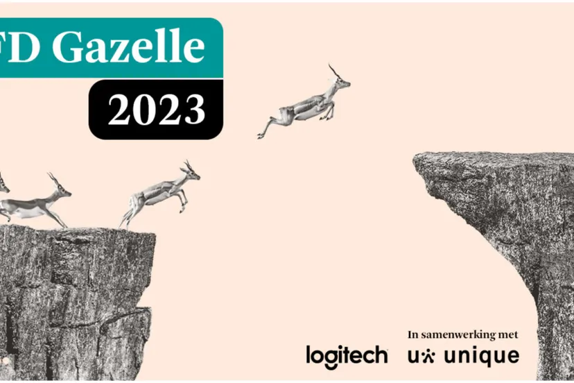 fd gazelle23 1 1170x650 1 1