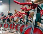 fe13vviefc2xc532ben6a5ugn 68940