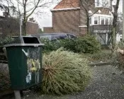 fh3nofl6udtumyxvzgelzxwng 200454