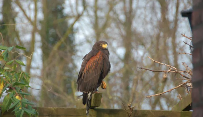 fjjaq3q1b7071kysmd8e9mers buizerd