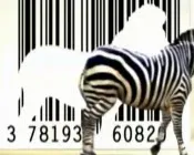 gglk9cz5r7cyp0favhxvu84lv 100482