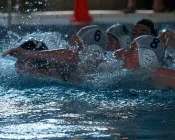 gi89rj4nfktz8euzwdc50g8md 58391