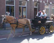 h0r7jr7pv1sabj3ujk6m73f4i 24458