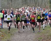 hegpobj0xw0wq6p3hlu23jhq4 116501