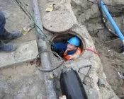 hl50s56el8edomsy0hdo6co0x 216364