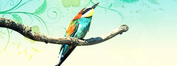 ht1rxao7pem3qo8ksswpx03nu spiritueeldongenbreed