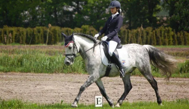 huxx0iniu97n6gadra8so5m5z toekomst