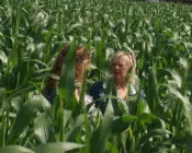 hwqigz3ip4d3l60g9gfl0n8ey 73444