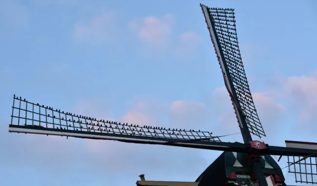 hxg6wh2yymnhkp00ckql69jc9 hang1