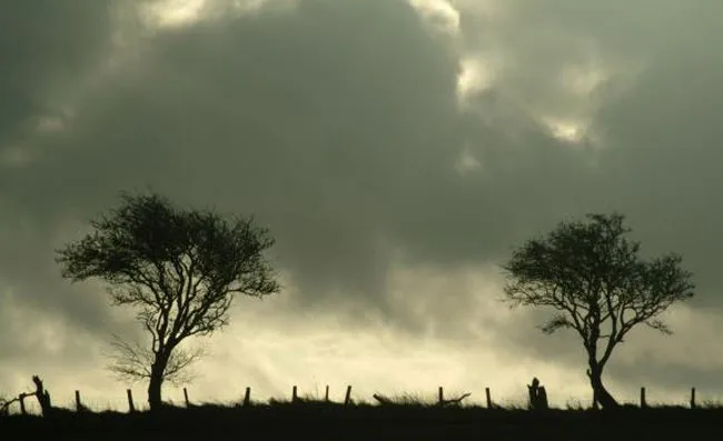 ii8gga65fpd6tq4eyestq8mml storm